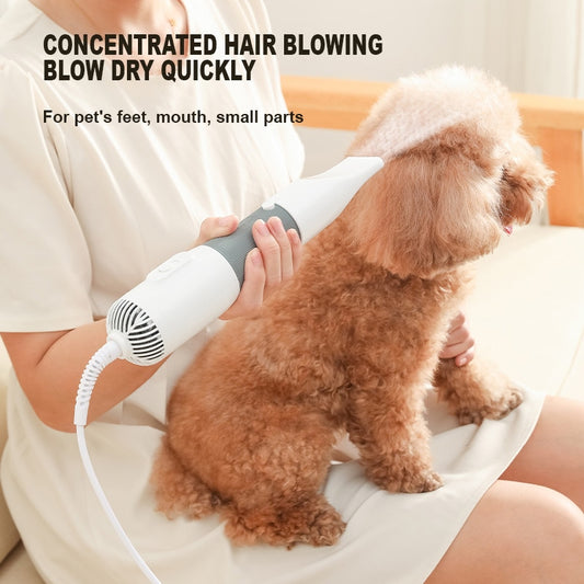 Pet Grooming At Home Made Easier For You