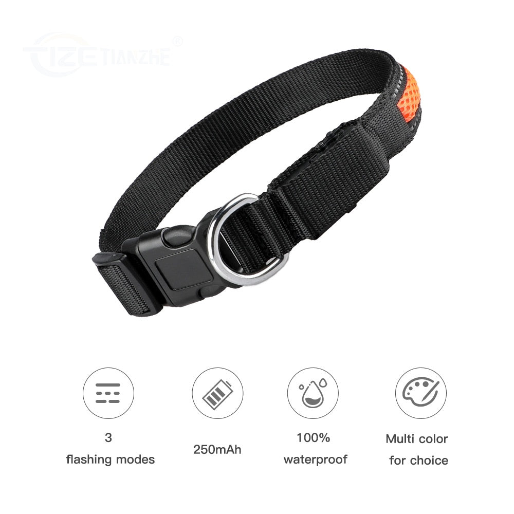 MASBRILL LED Dog Collar