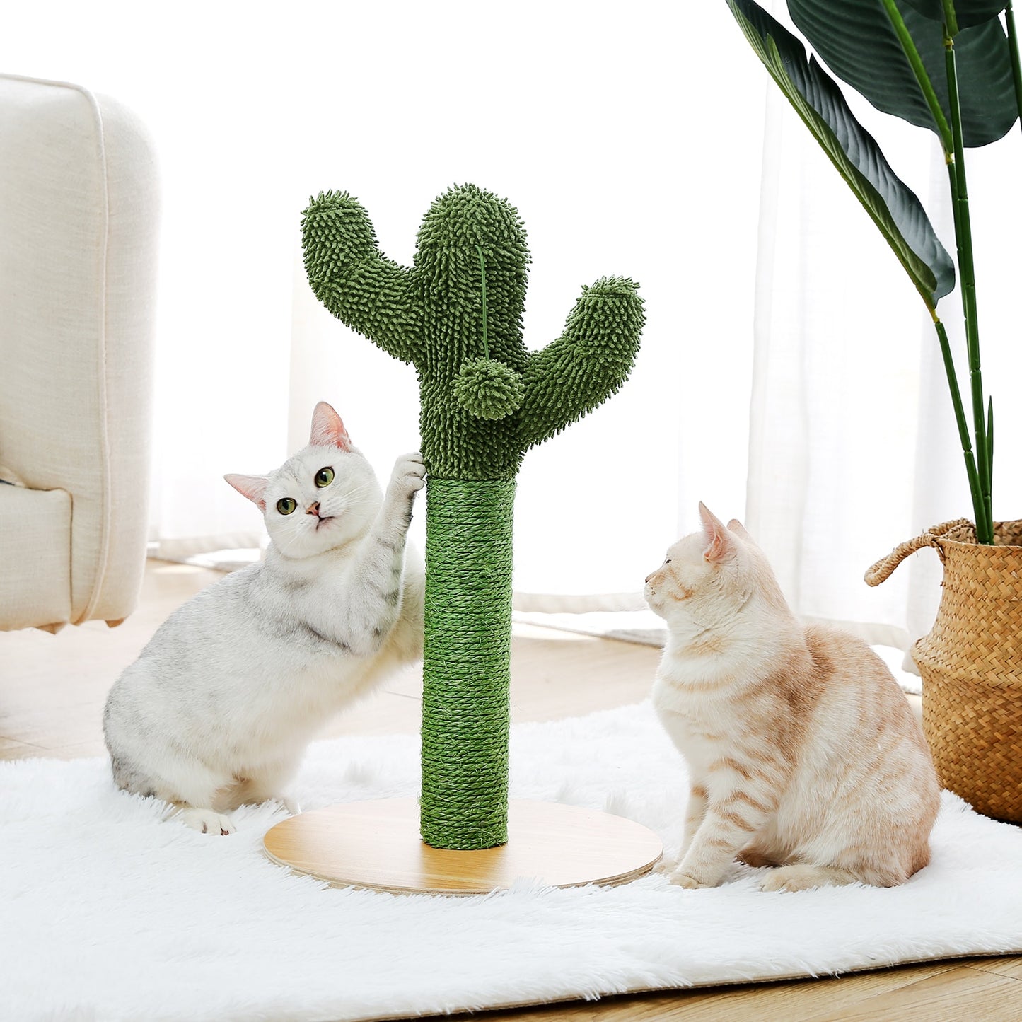 2 Size Cactus Style Cat Tree House