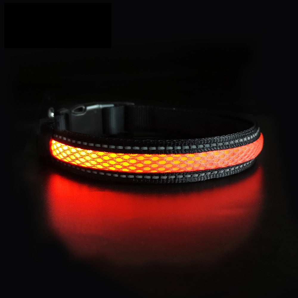 MASBRILL LED Dog Collar