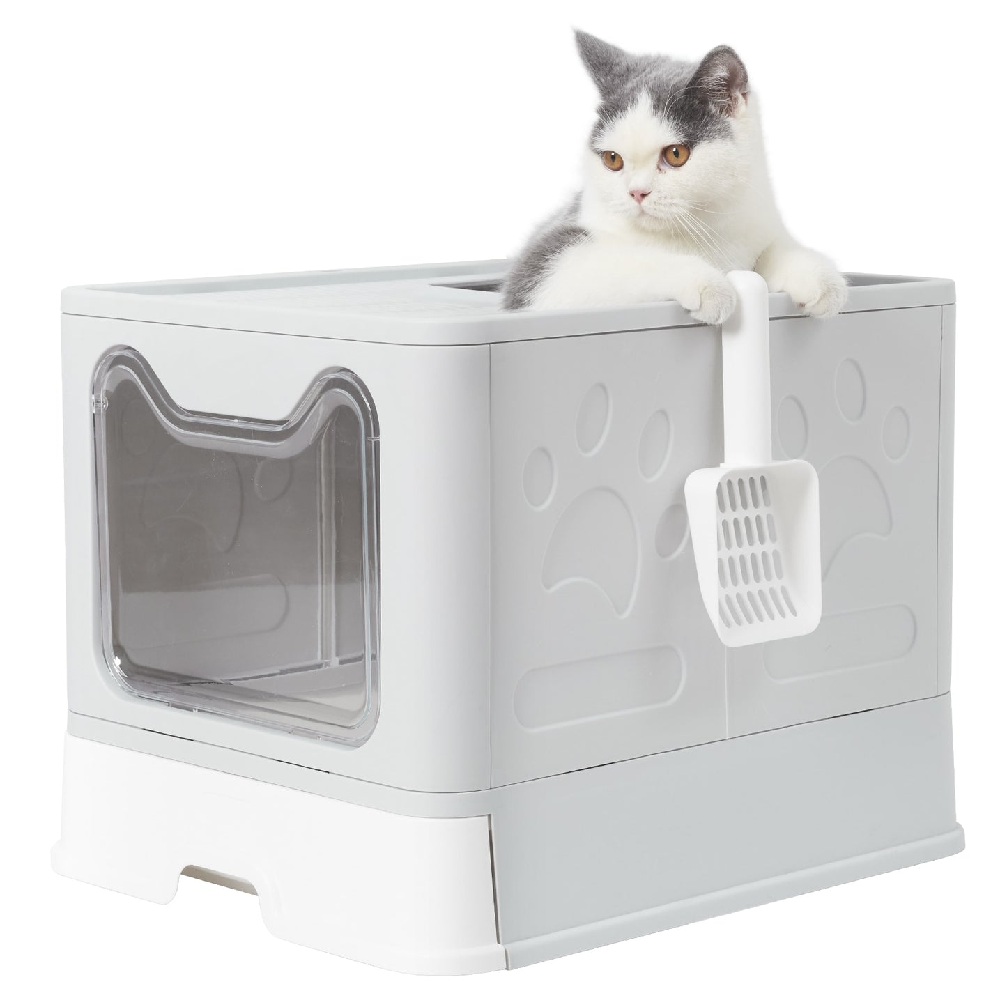 Front Entry Top Exit Cat Litter Box