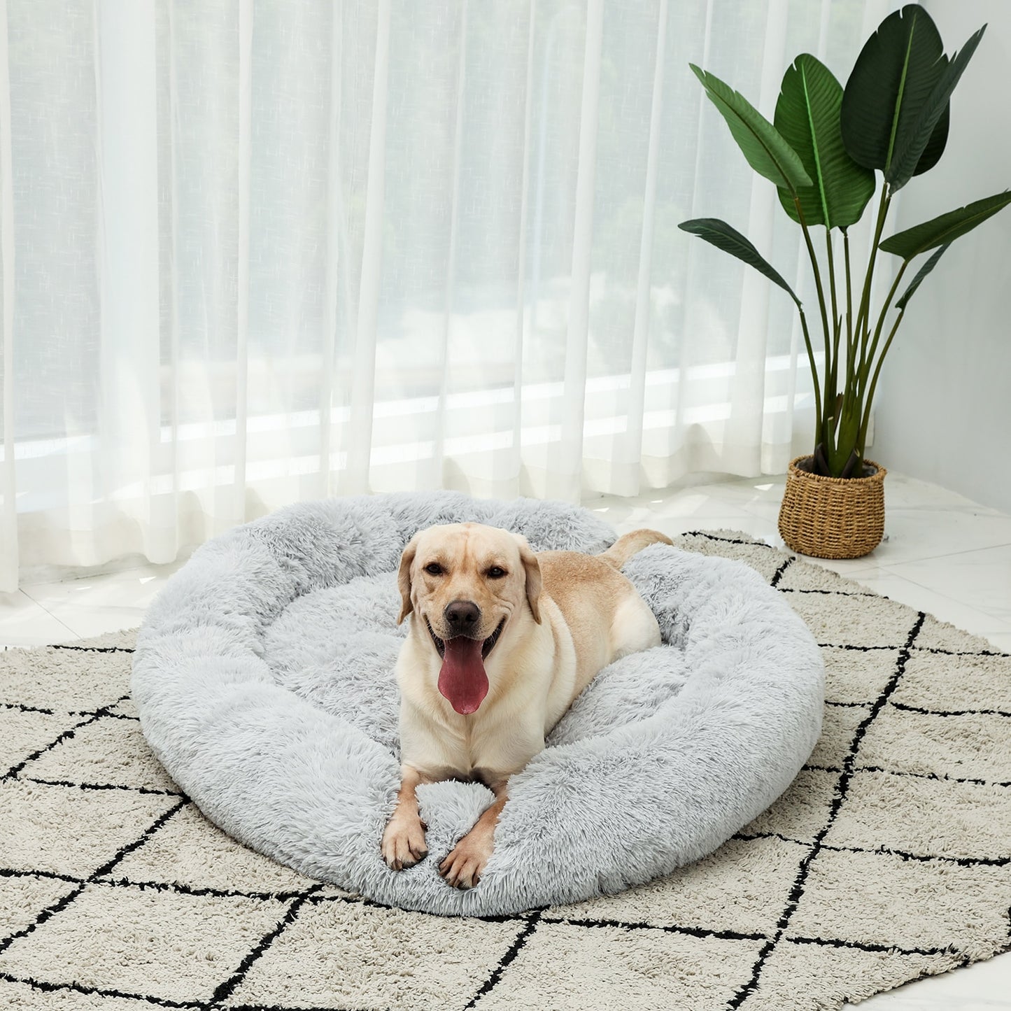 4 Size Pet Beds for Large Dog