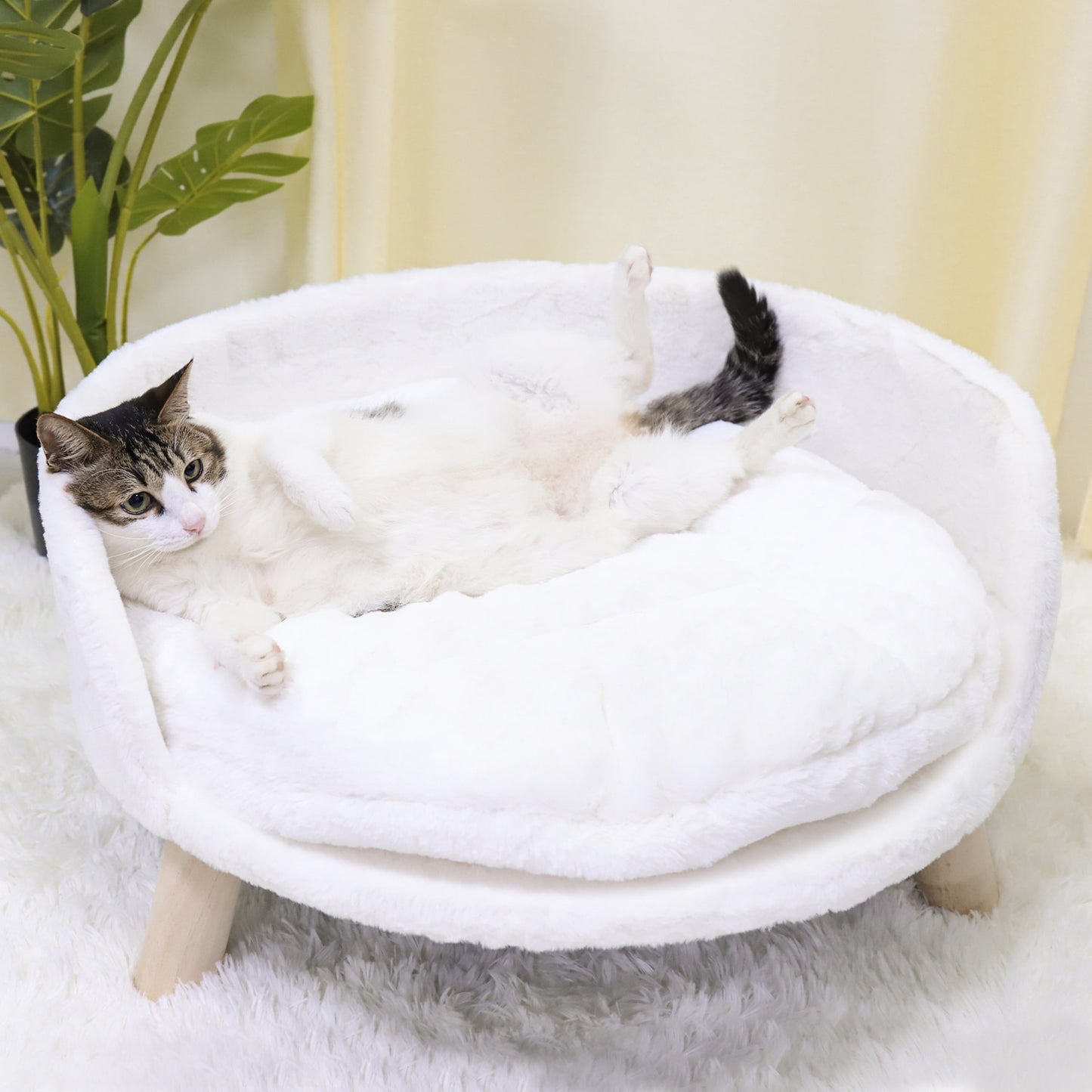 Small Dog Couch Bed Cat Chair