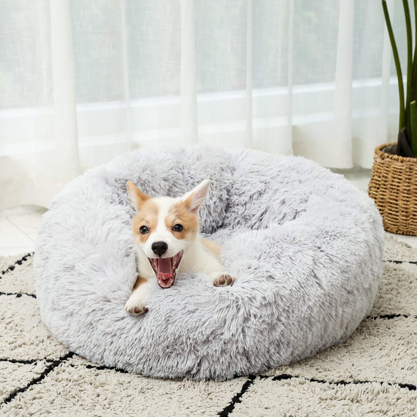 4 Size Pet Beds for Large Dog