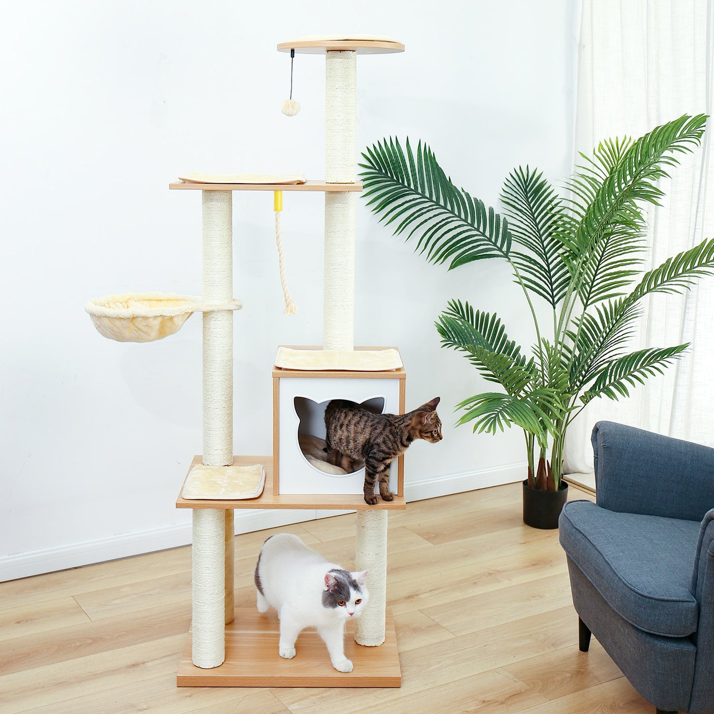 Cats Tree House Condo Activity Center