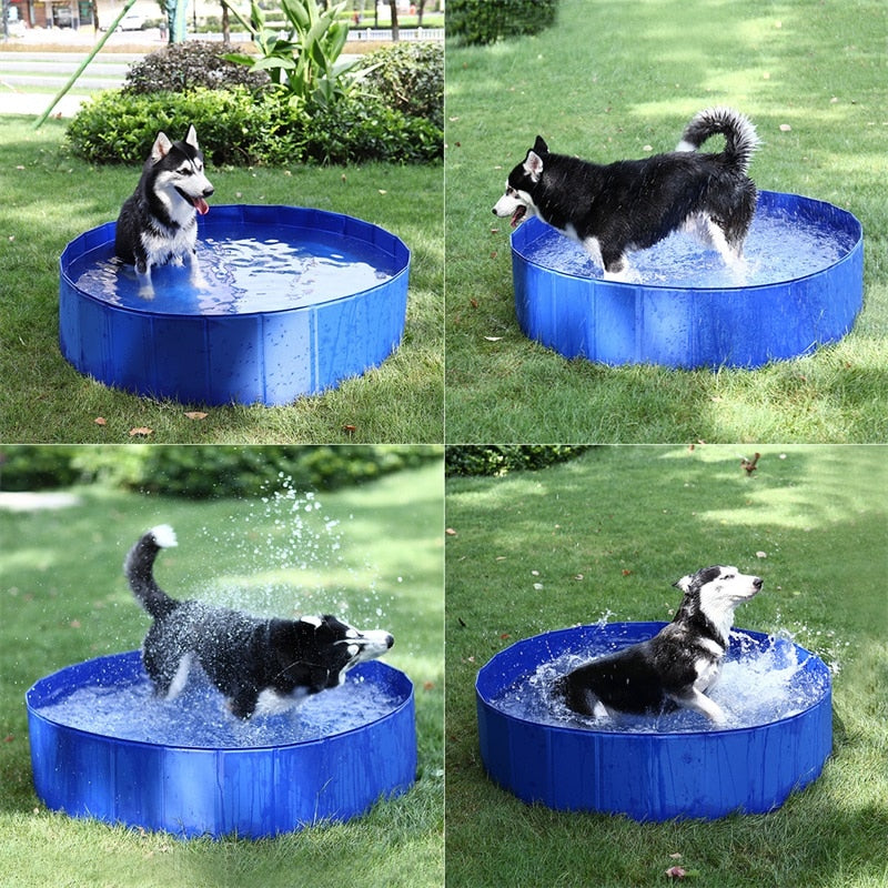 Big Capacity Summer Pet Play Swimming Pool