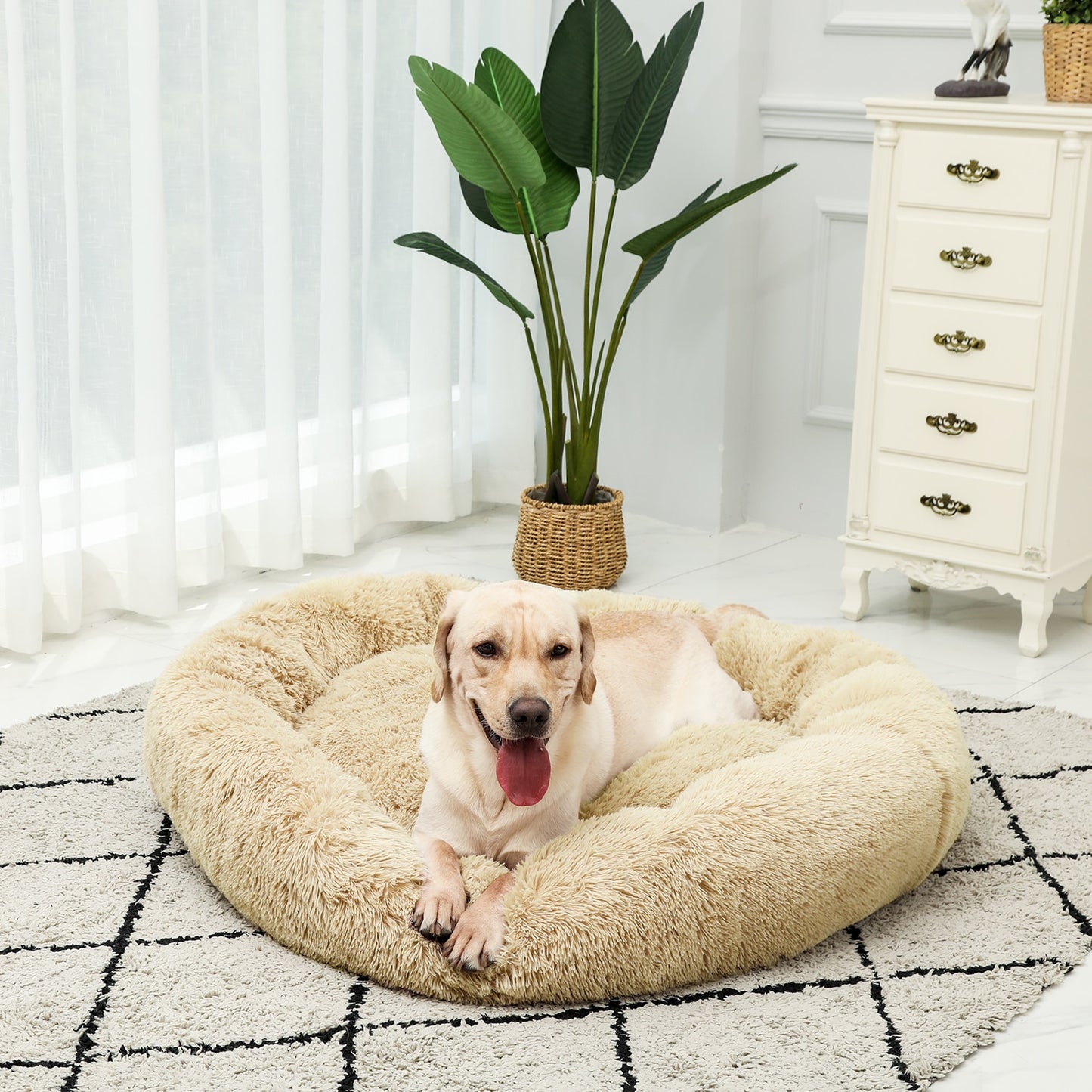 4 Size Pet Beds for Large Dog