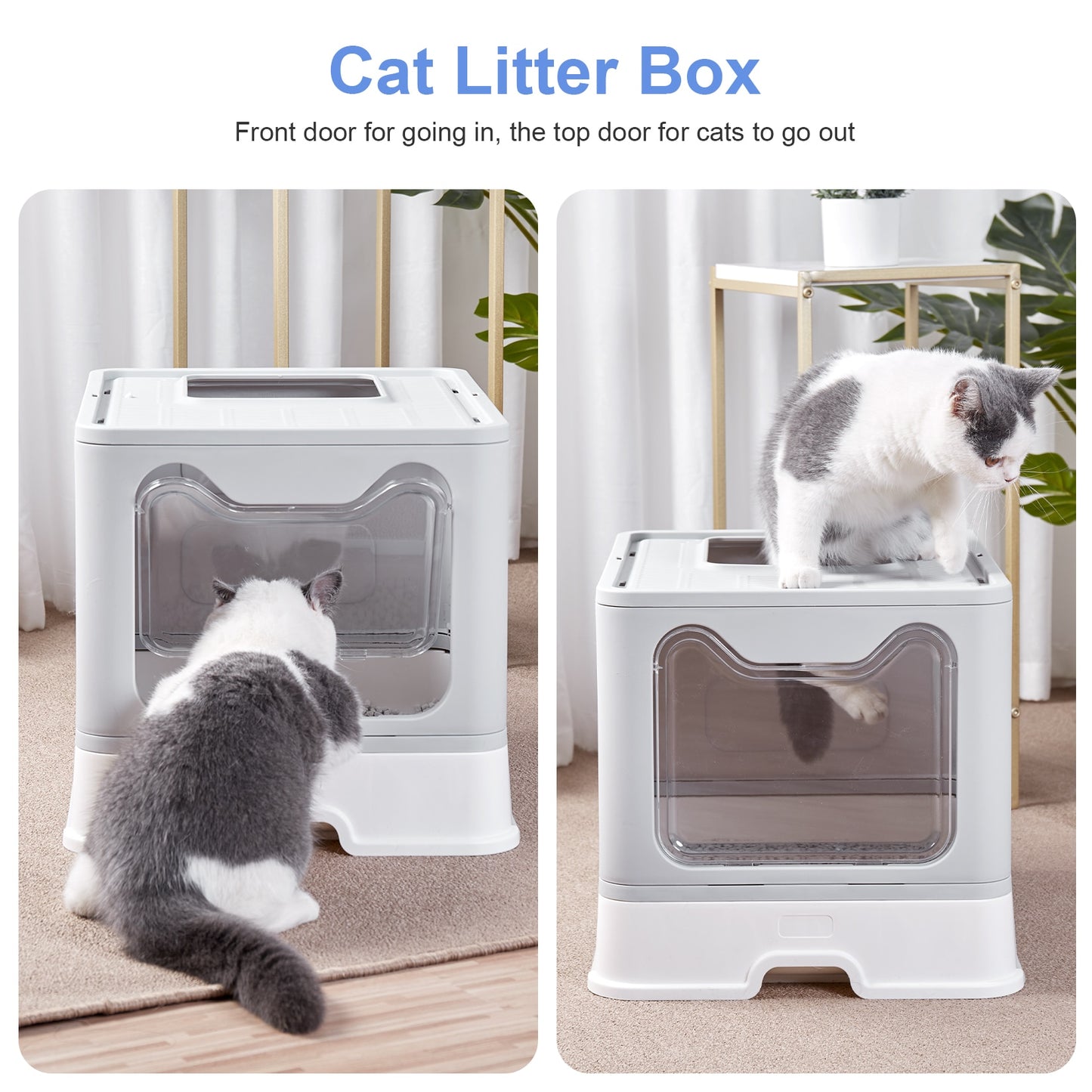 Front Entry Top Exit Cat Litter Box