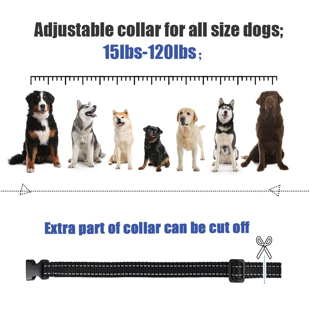 MASBRILL Dog Training Collar