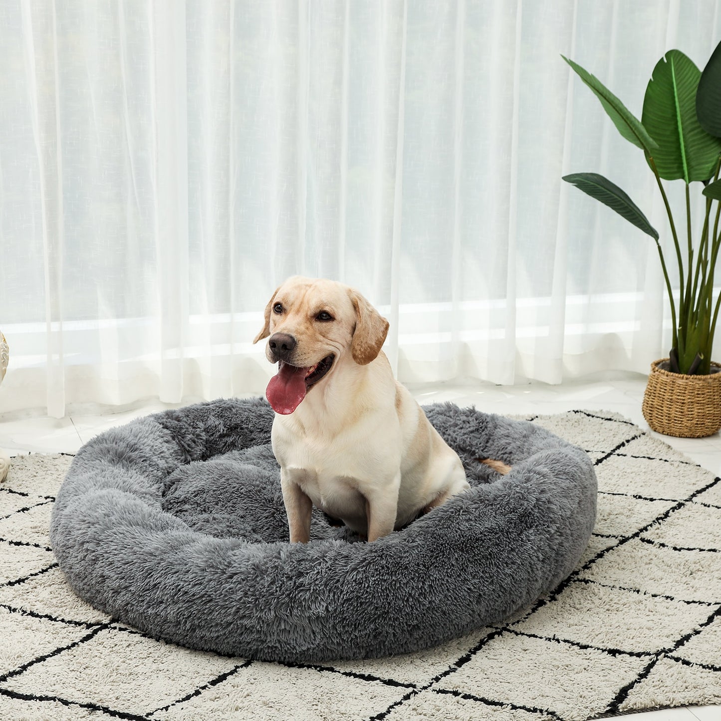 4 Size Pet Beds for Large Dog