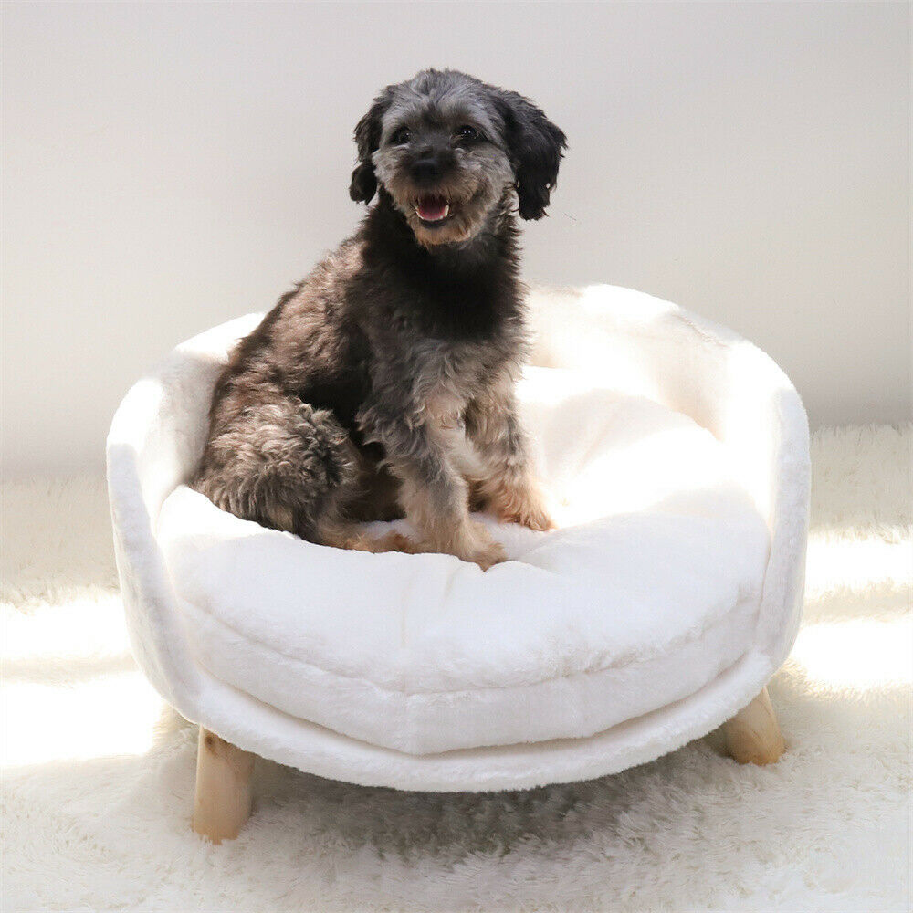 Small Dog Couch Bed Cat Chair