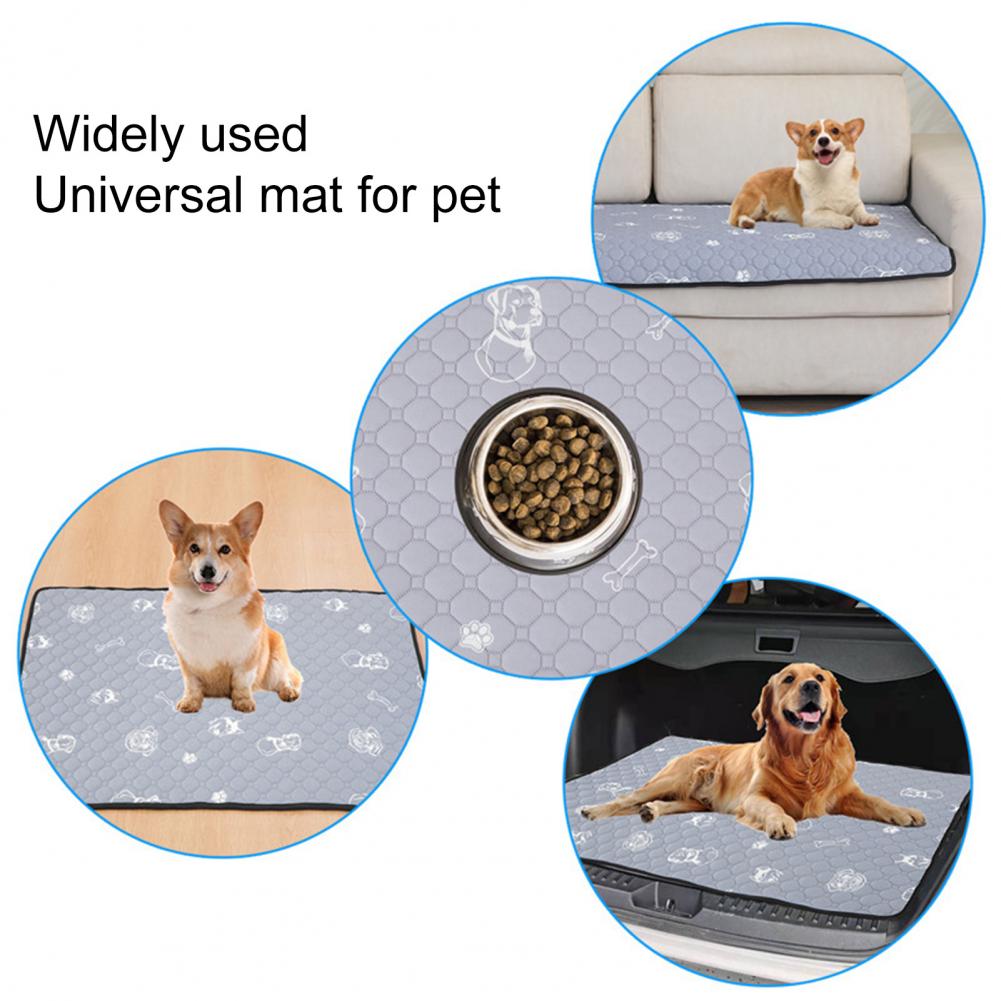 Pet Pee Pad Rug Fast Absorbing Breathable