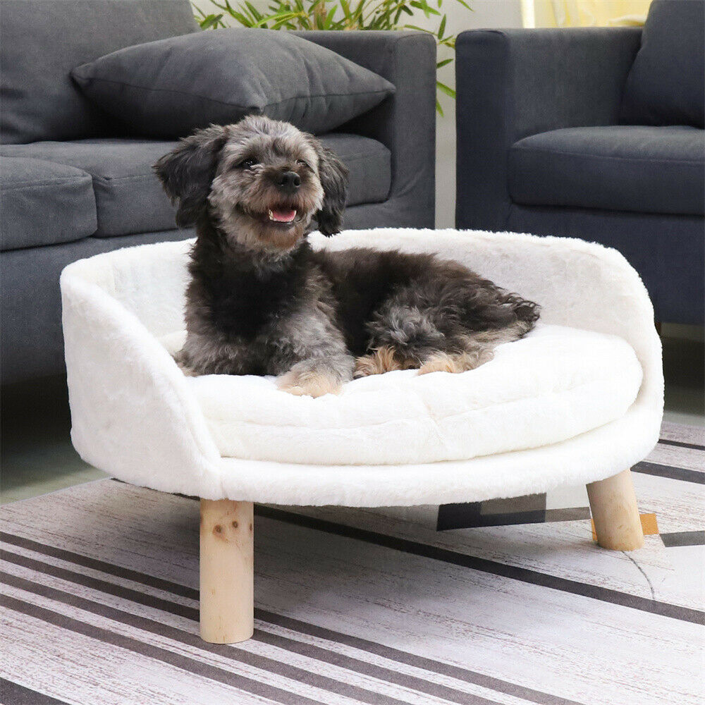 Small Dog Couch Bed Cat Chair