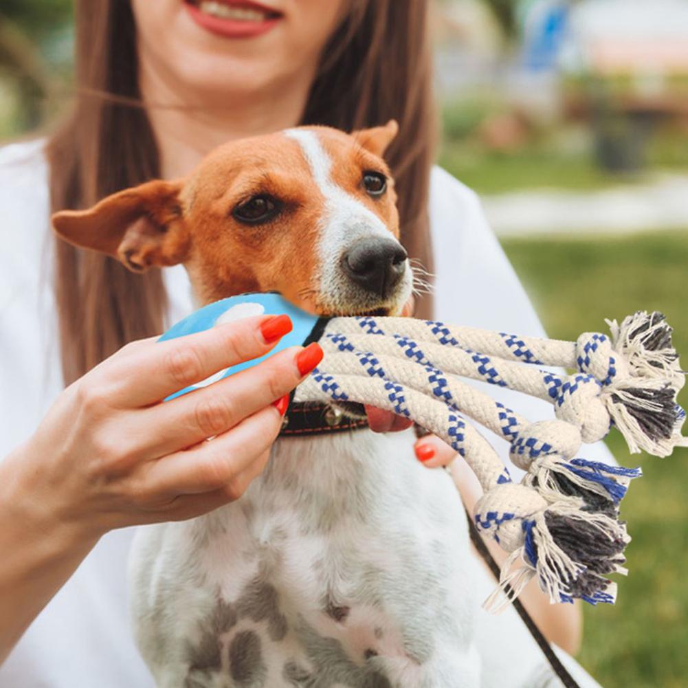 Built-in Voice Portable Dog Teeth Grinding Toy