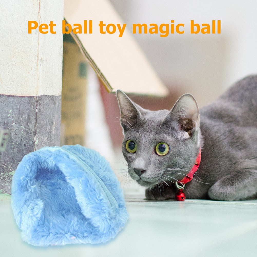 Magic Rolling Toy Activation Ball