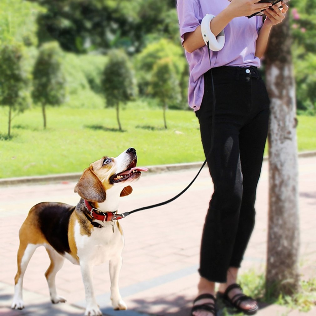 Retractable Dog Leash With Luminous LED Light