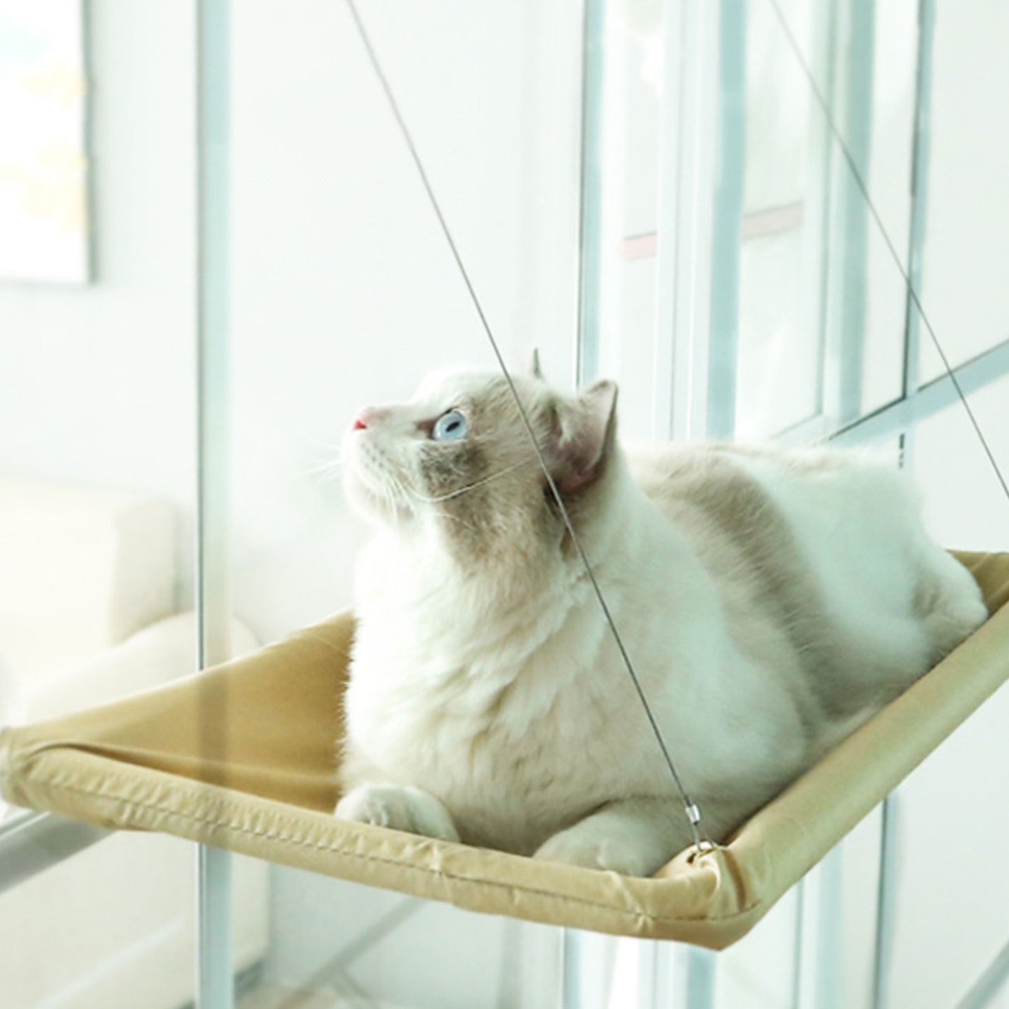 Cats Window Hammocks Suction Cup Type