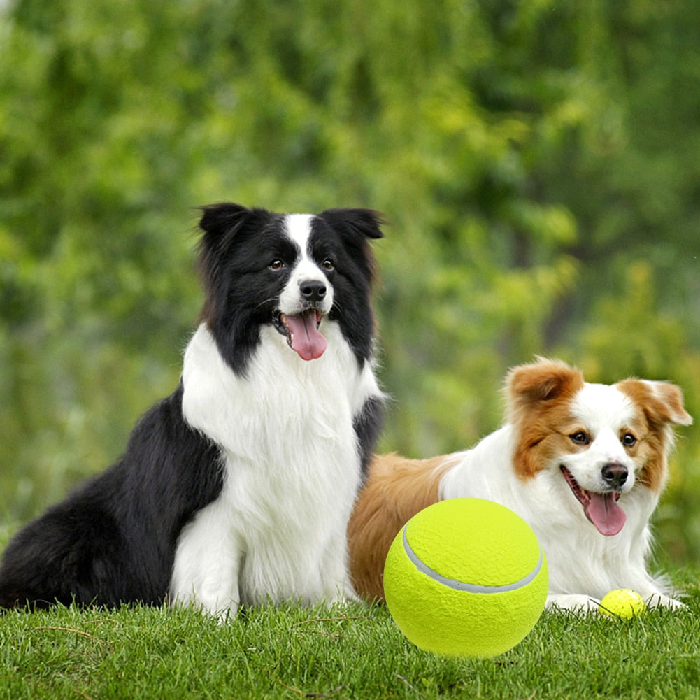 Bite Resistant Dog Ball