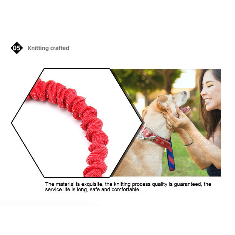 Dog Rope Pet Collar With Walking Traction