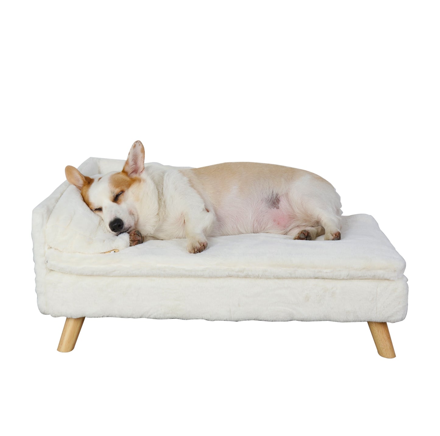 Elevated Pet Bed with Cozy Waterproof Pad