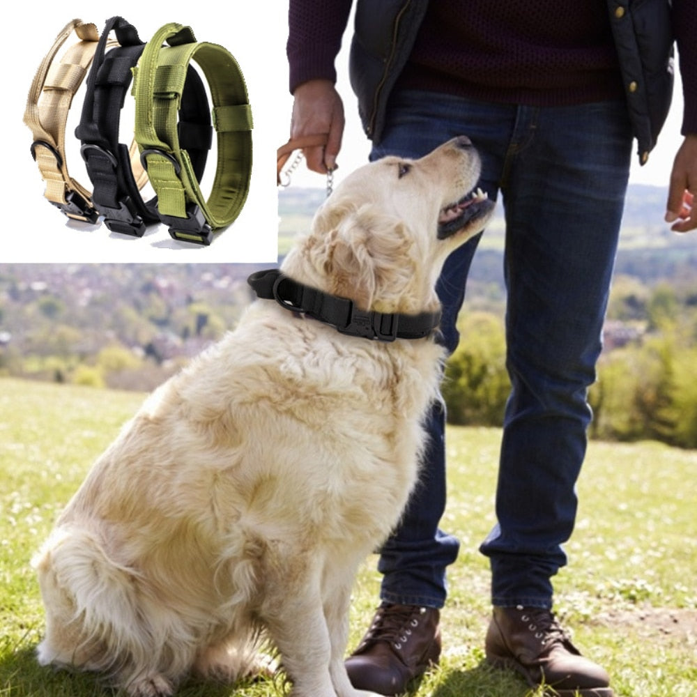 Adjustable Ribbon Military Dog Collar Leash