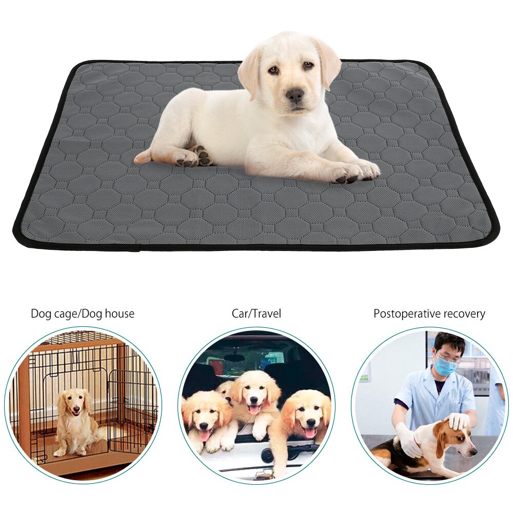 Anti-slip Dog Pee Pad Reusable Absorbent