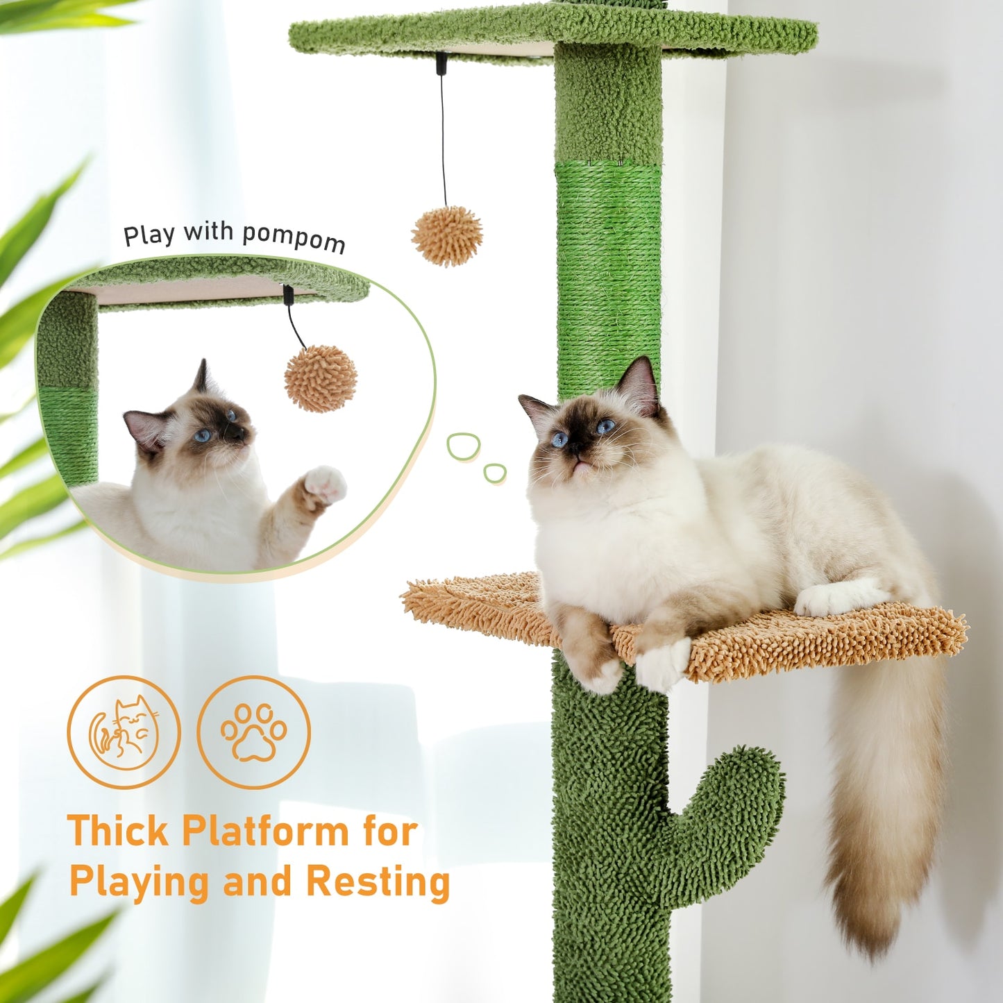 Cactus Cat Tree Floor To Ceiling