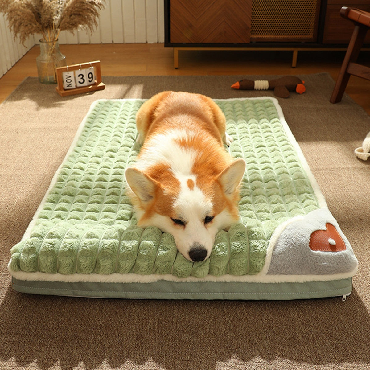 Orthopedic Dog Cat Bed with Pillow