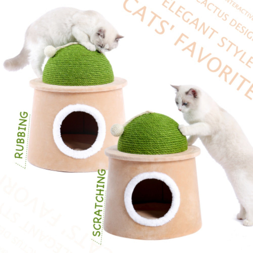 Cactus Cat Cave House