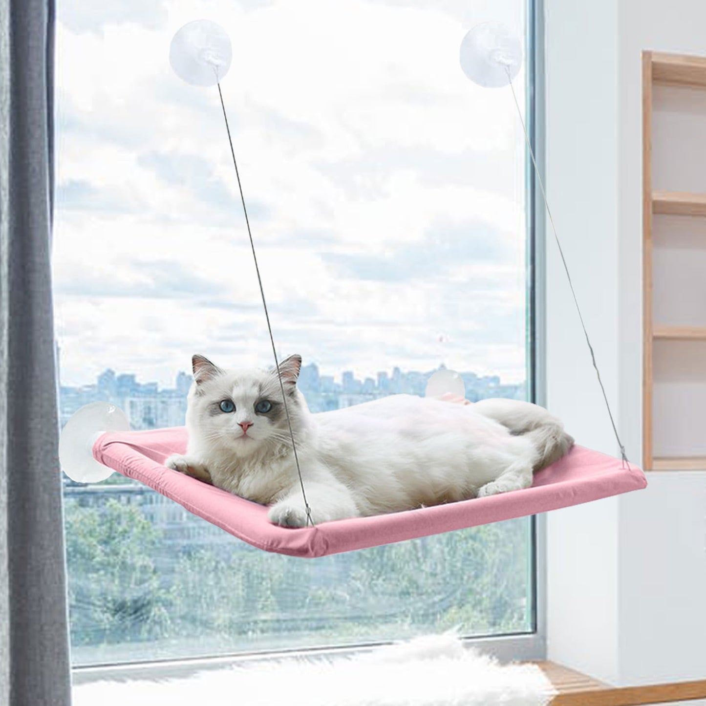 Cats Window Hammocks Suction Cup Type