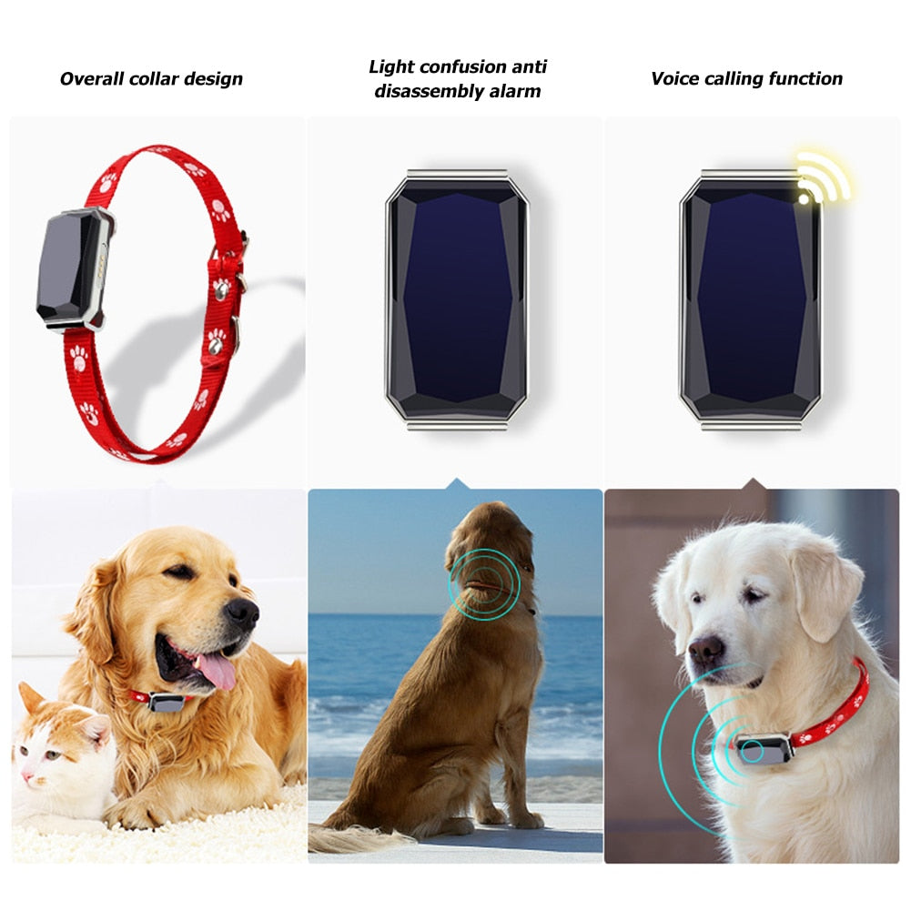 GPS  Wifi Tracker Real-time Tracking Collar