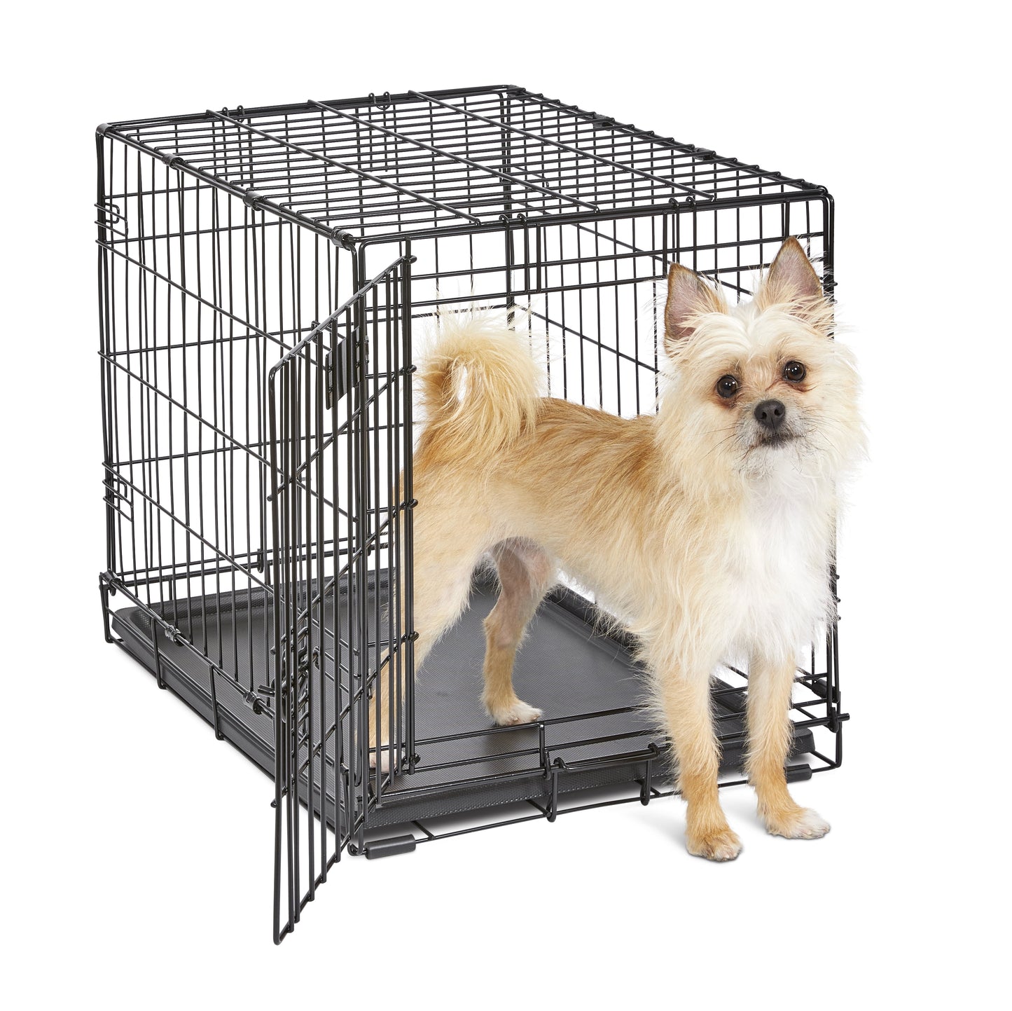 Pets Double Door Folding Metal Dog Crate