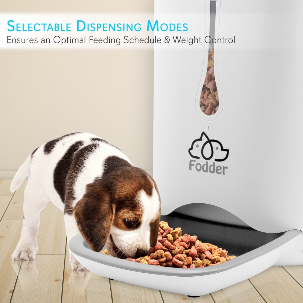 Automatic Cat & Dog Food Dispenser