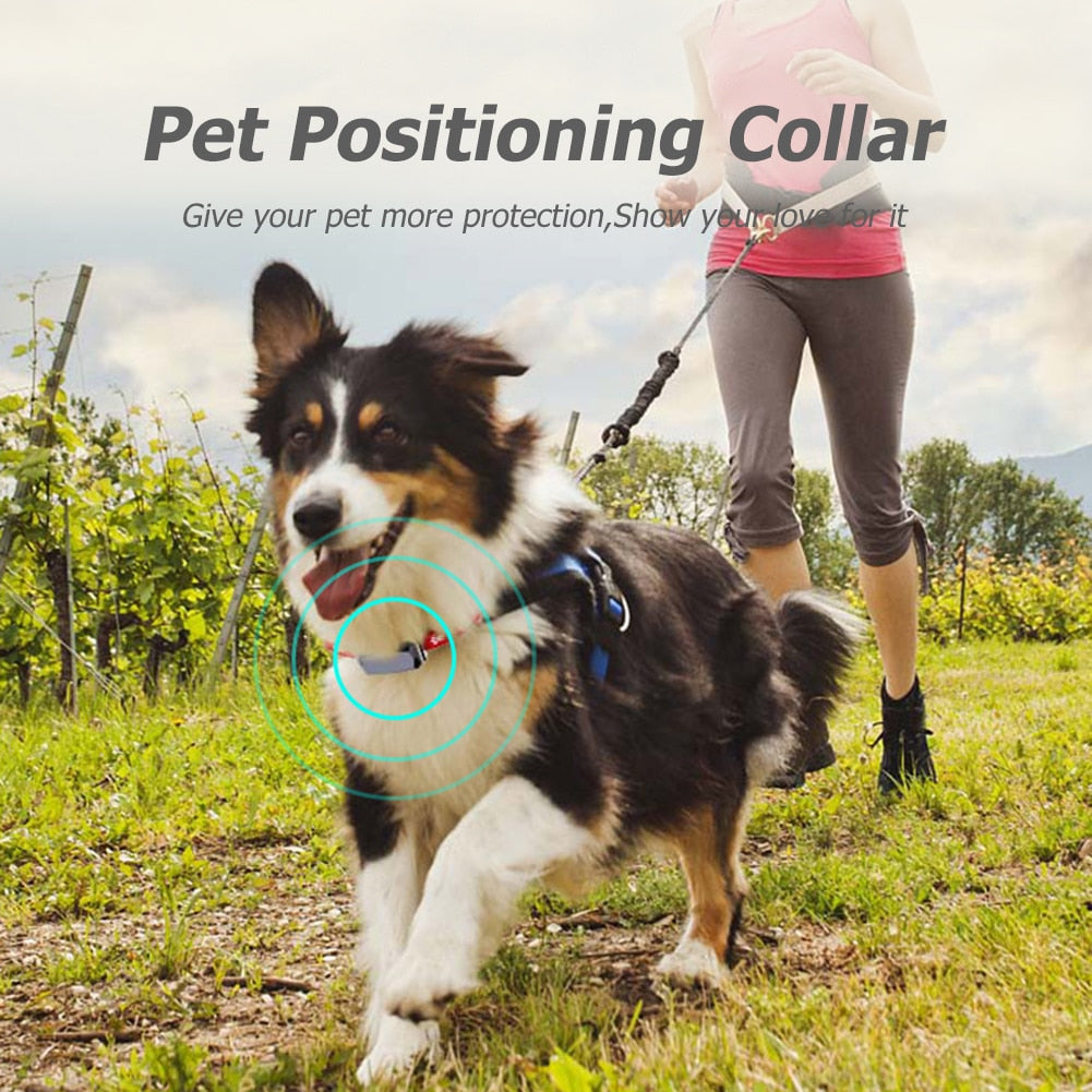 GPS  Wifi Tracker Real-time Tracking Collar