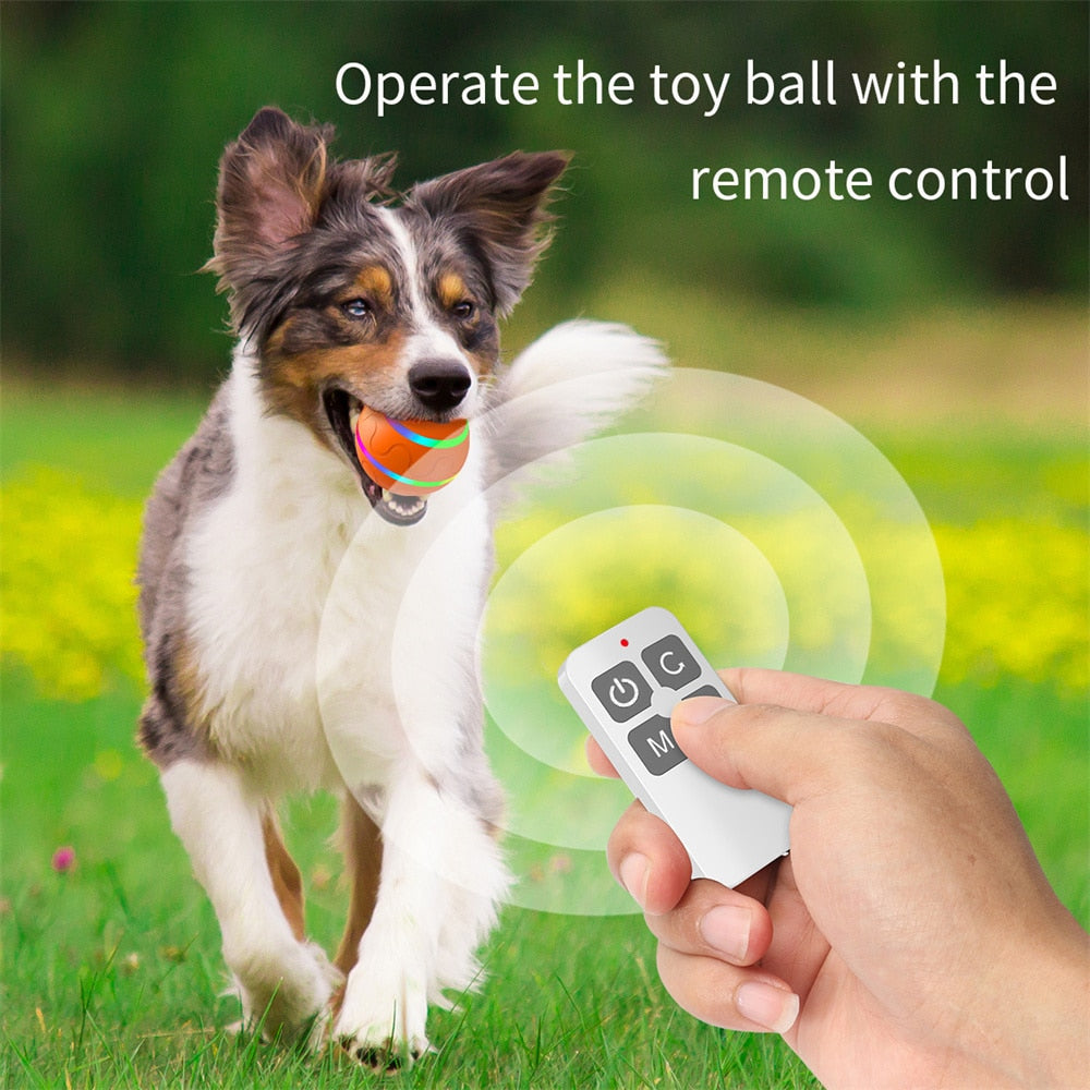 Smart Interactive Pet Toy Ball