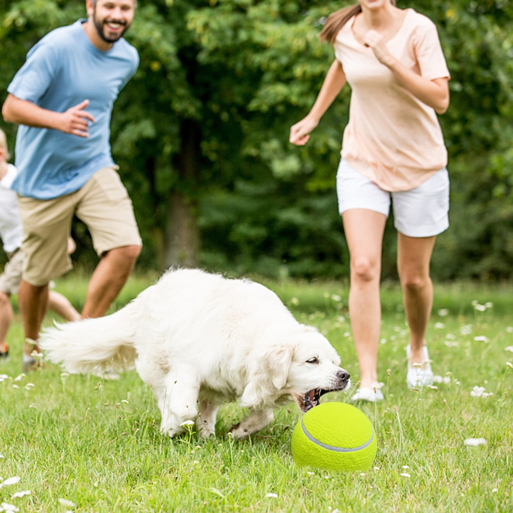 Bite Resistant Dog Ball