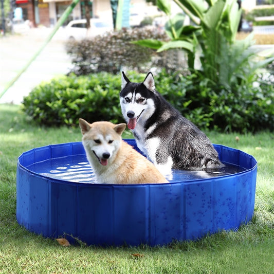 Big Capacity Summer Pet Play Swimming Pool