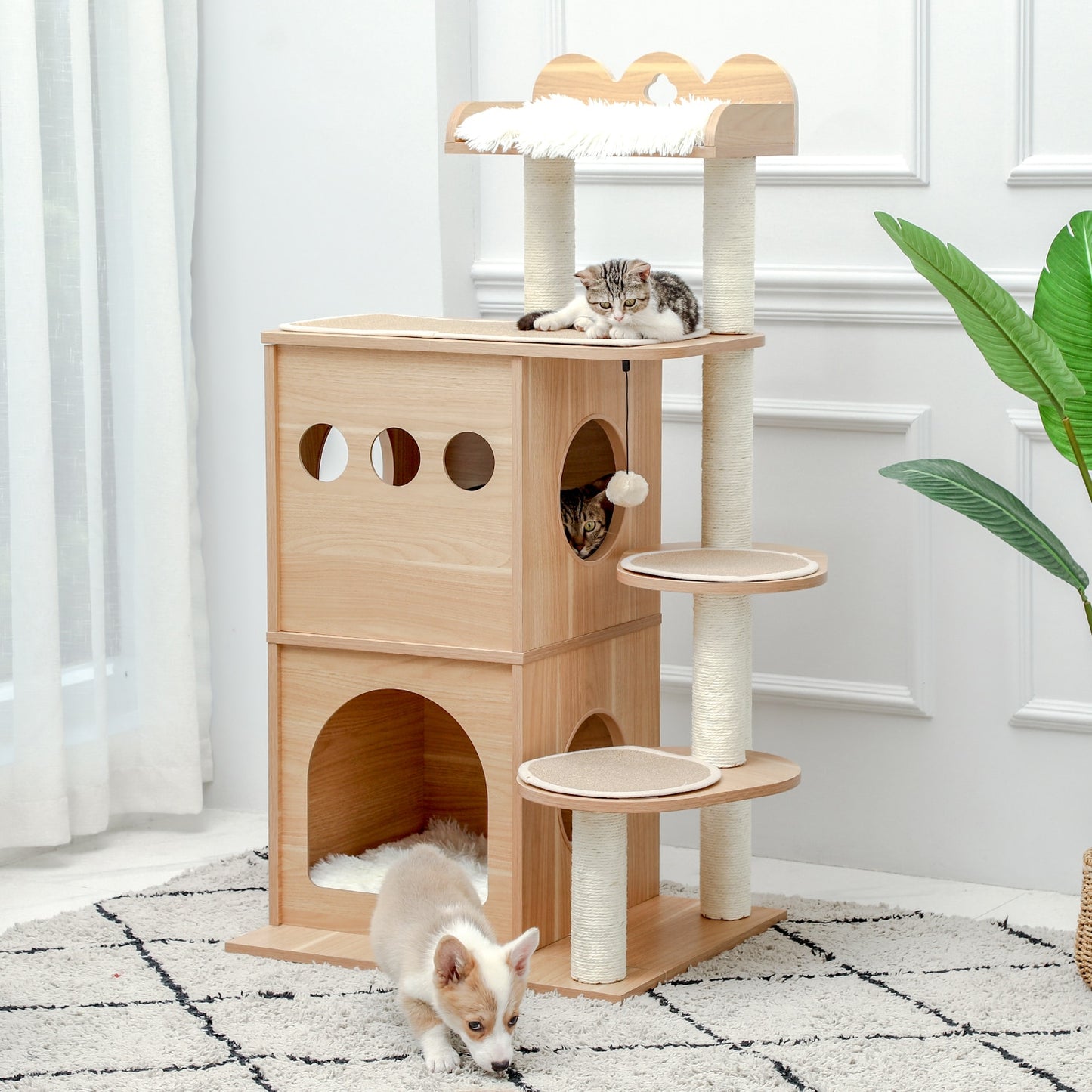 Cats Tree House Condo Activity Center