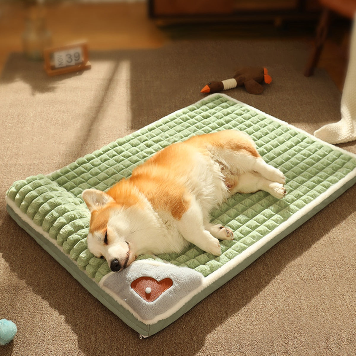 Orthopedic Dog Cat Bed with Pillow