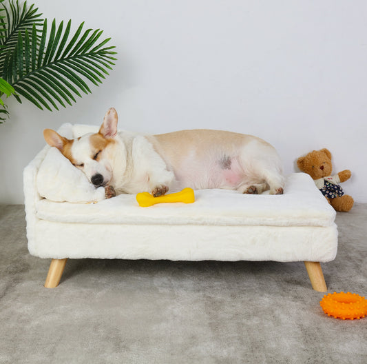 Elevated Pet Bed with Cozy Waterproof Pad