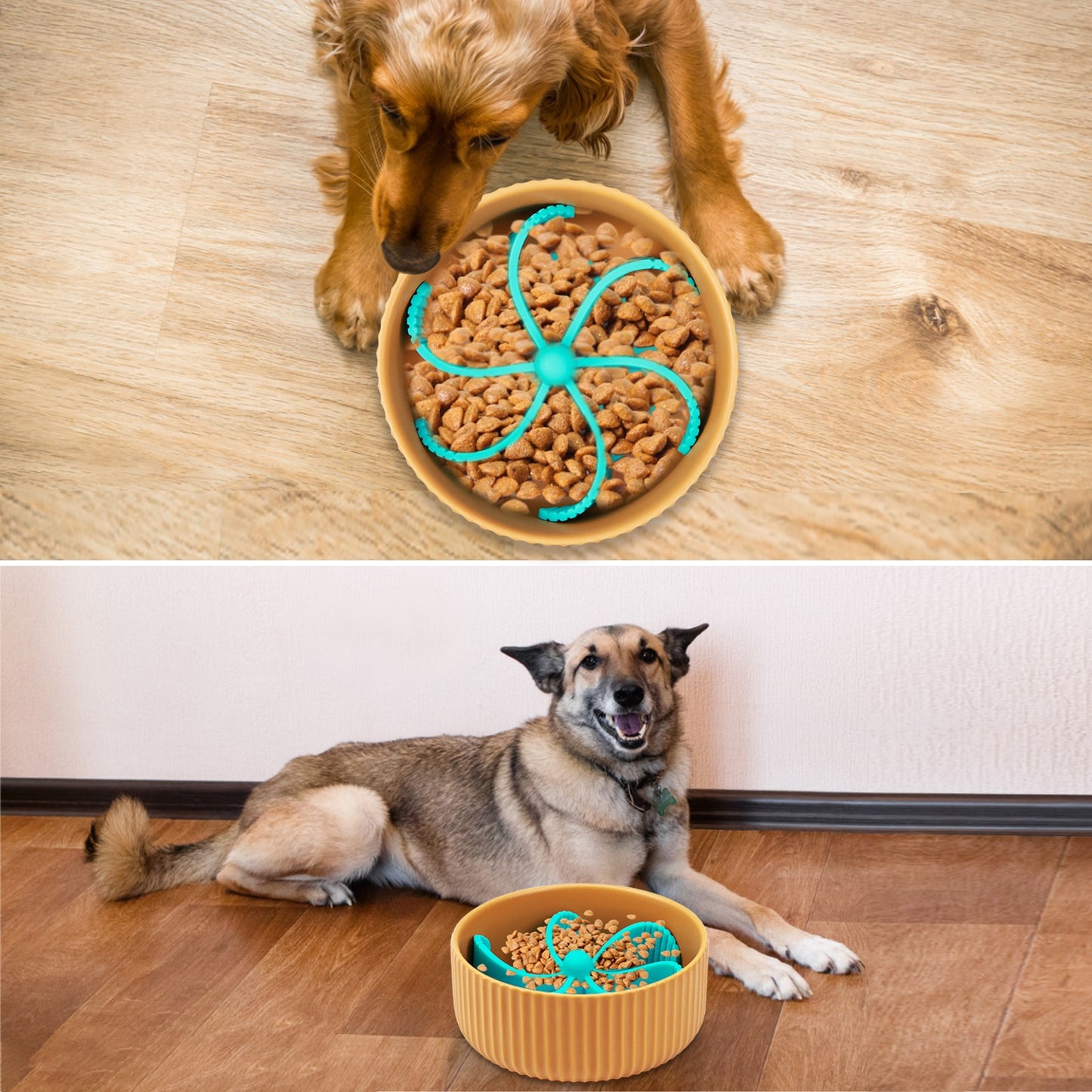 Slow Down Eating Feeder Dish Bowl