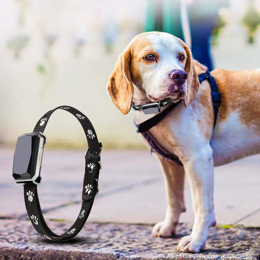 Waterproof Gps Wifi Tracker Cat Dog Location