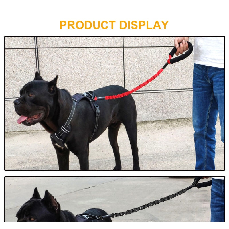 Dog Rope Pet Collar With Walking Traction