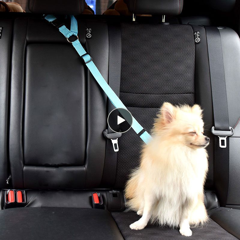 Pet Car Safety Adjustable Nylon Seat Belt